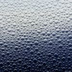 Koristevalssattu levy SE Snake